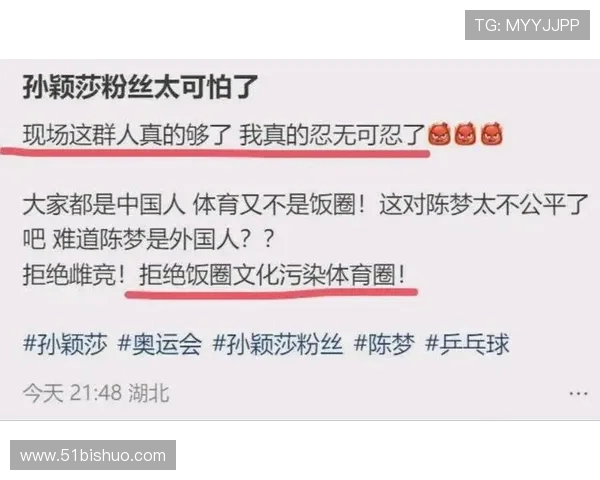 乒乓球场上的深度对话与人生哲学周磊的成长与追求