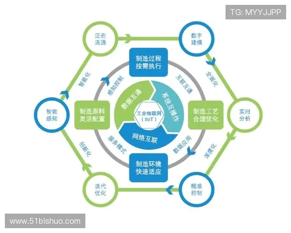 北京篮球队实力分析：历史成就与未来展望的深度解读