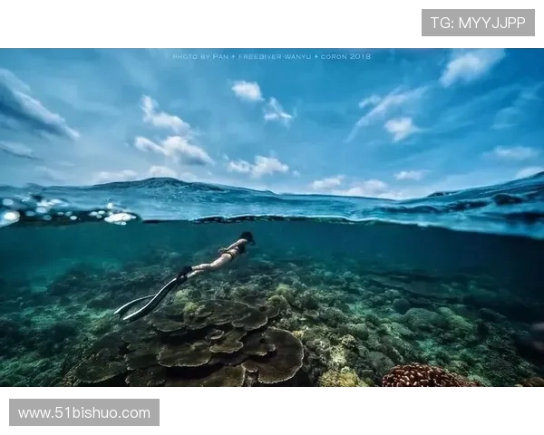 杭州极限运动队与重庆极限运动队赛后分析实力对比与未来展望