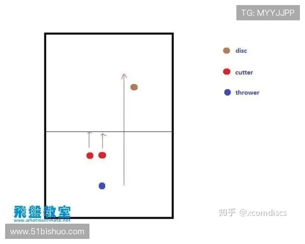 飞盘战术解析：深入探讨上海飞盘队的防守策略与技巧