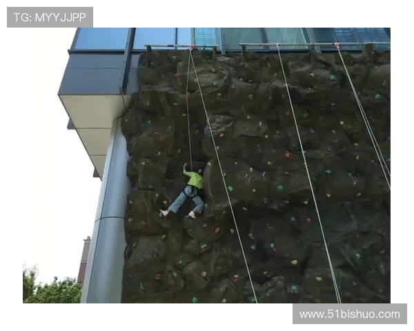 广州攀岩队技术表现数据分析与提升策略探讨